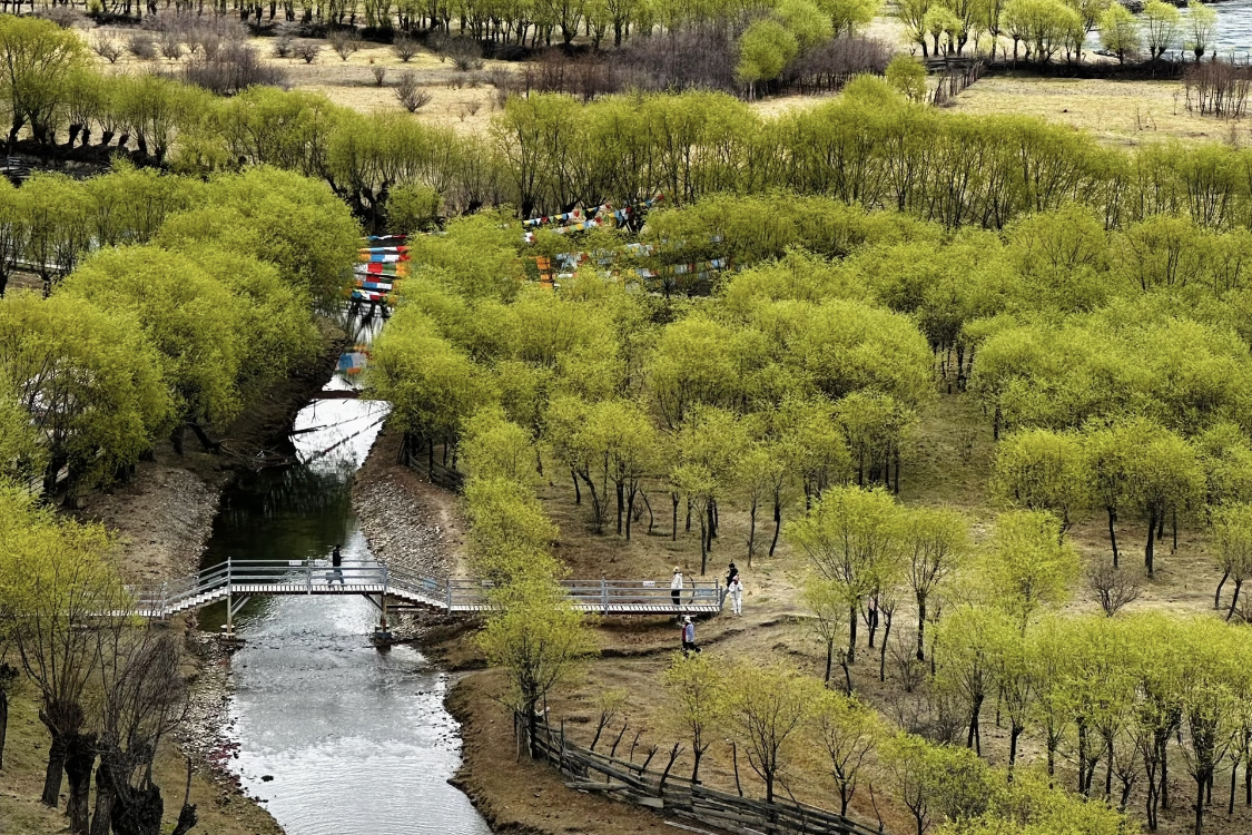 Yani National Wetland Park